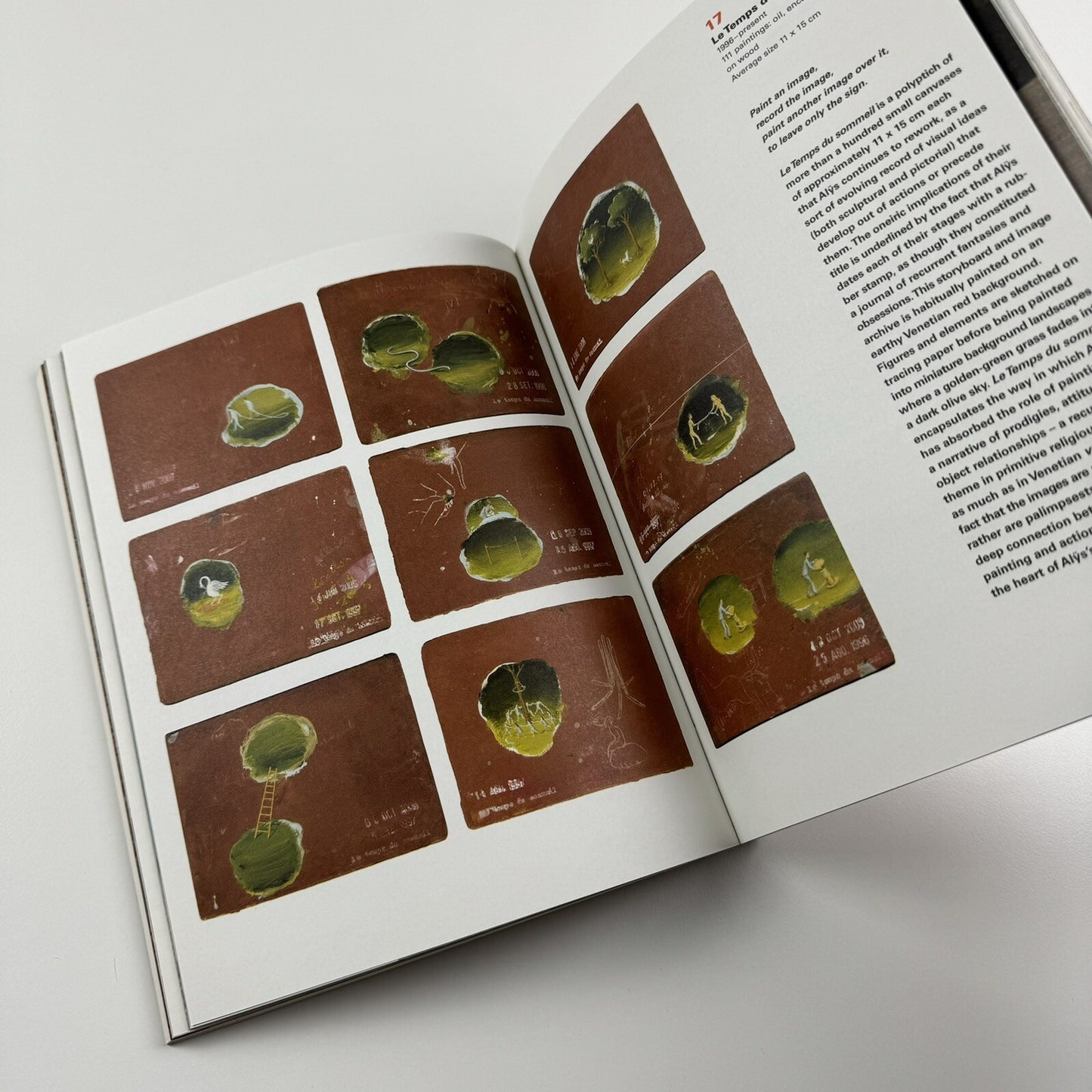 Francis Alÿs: A Story of Deception | Klaus Biesenbach & Mark Godfrey | Tate, 2010