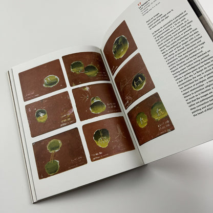 Francis Alÿs: A Story of Deception | Klaus Biesenbach & Mark Godfrey | Tate, 2010