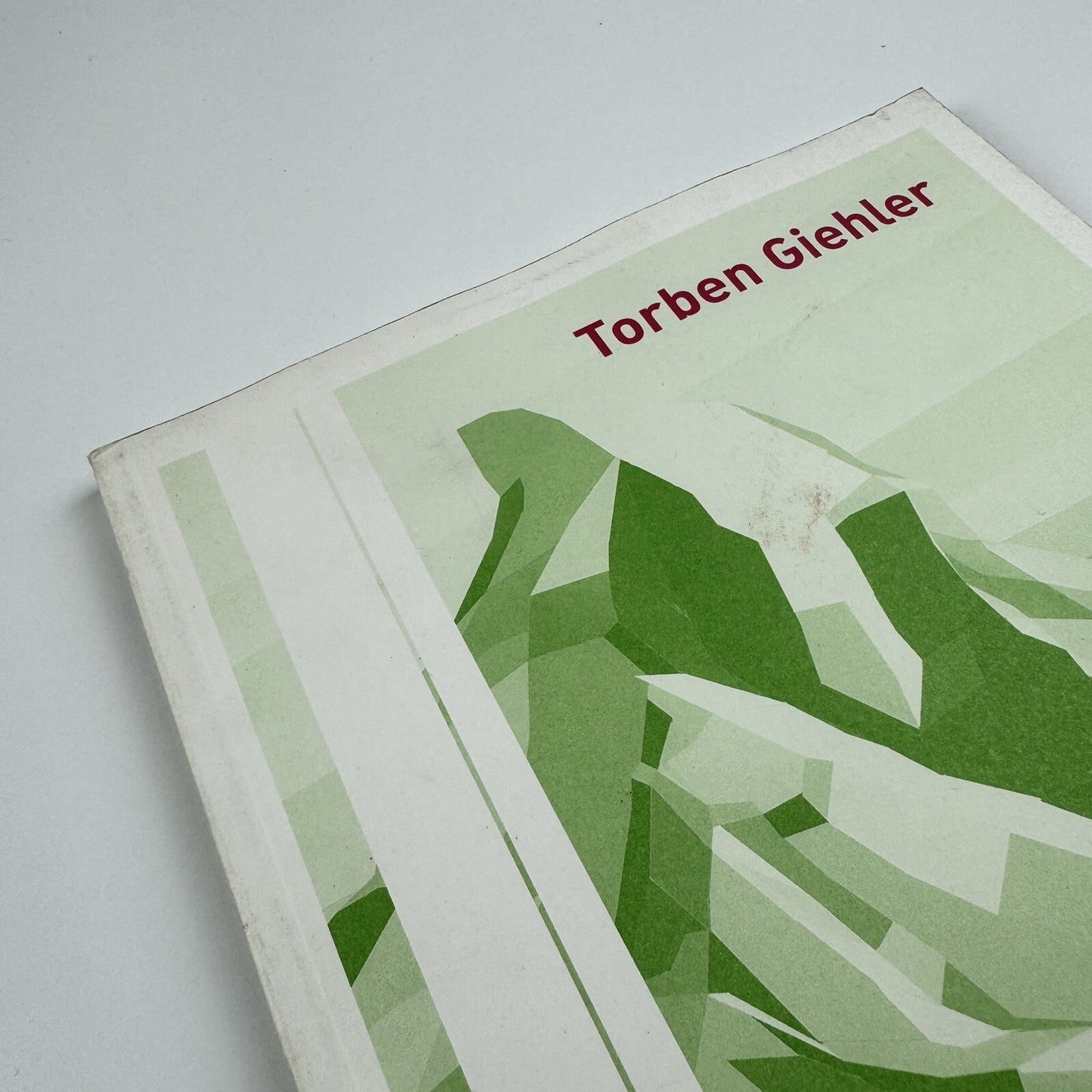 Torben Giehler. Essay by Merrily Kerr | Leon Koenig, New York, 2004