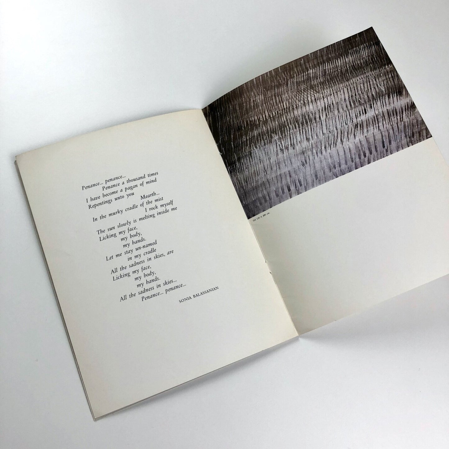 Sonia Balassanian | Negarkhanesh Saman, Tehran June 1976 | Exhibition catalogue
