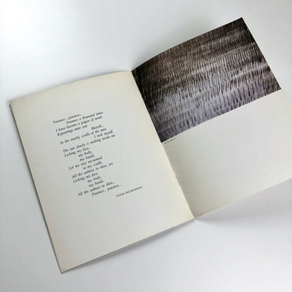 Sonia Balassanian | Negarkhanesh Saman, Tehran June 1976 | Exhibition catalogue