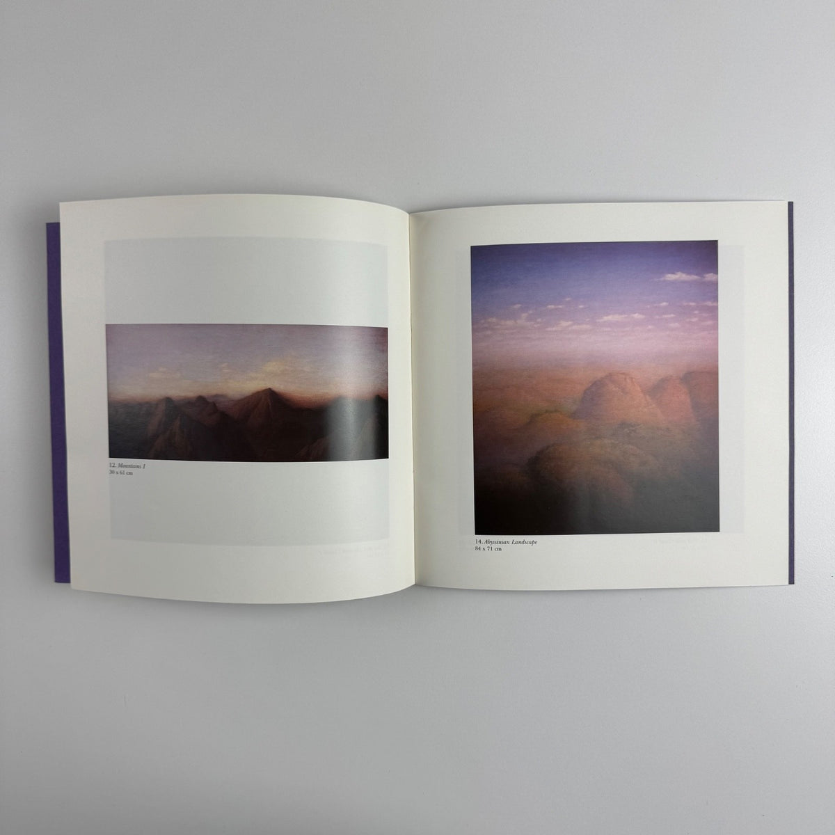 Tobit Roche. Clouds and Mountains Recent Paintings | The Maas Gallery, 2001