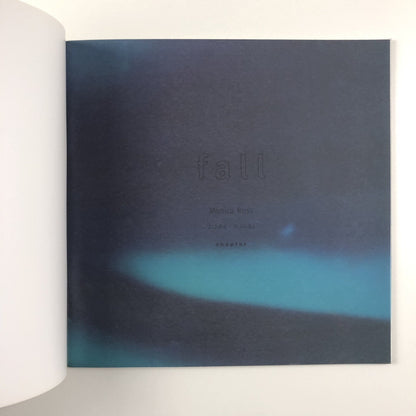 Fall. Monica Ross | Chapter, Wales 1994 exhibition catalogue