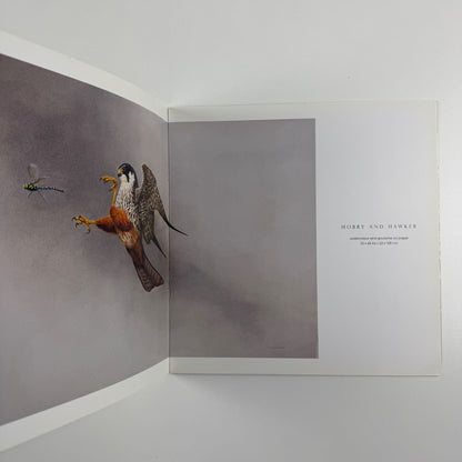Tim Hayward. Birds of Prey | Jonathan Cooper, undated