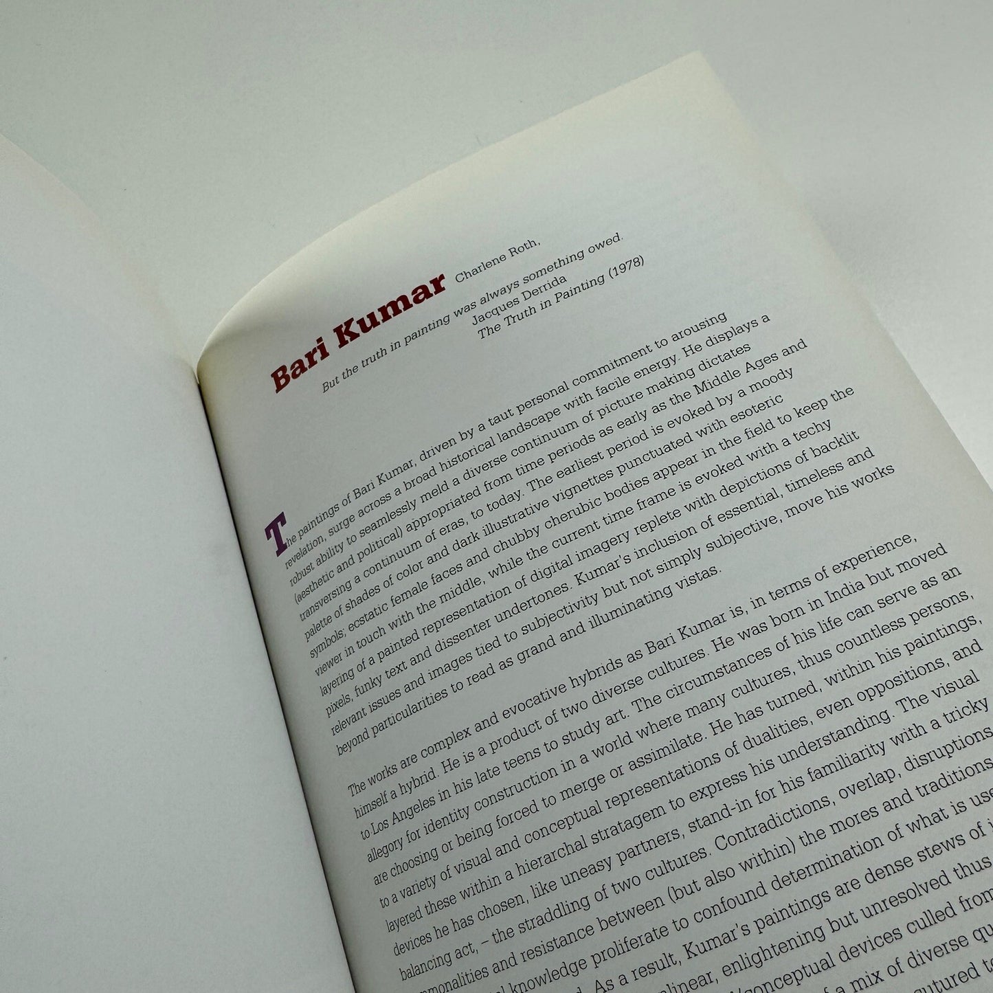 Export Quality 2004. Paintings by Bari Kumar | Bose Pacia Gallery, New York 2004 catalogue