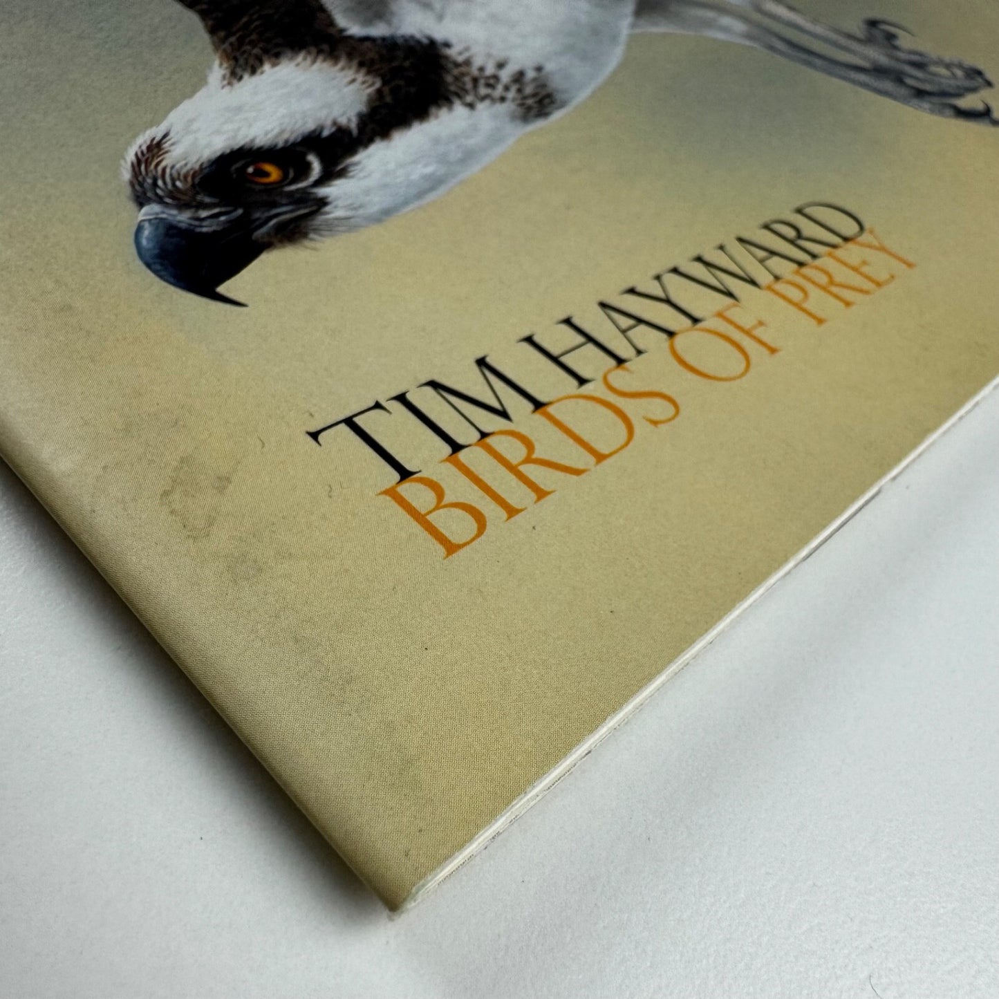 Tim Hayward. Birds of Prey | Jonathan Cooper, undated