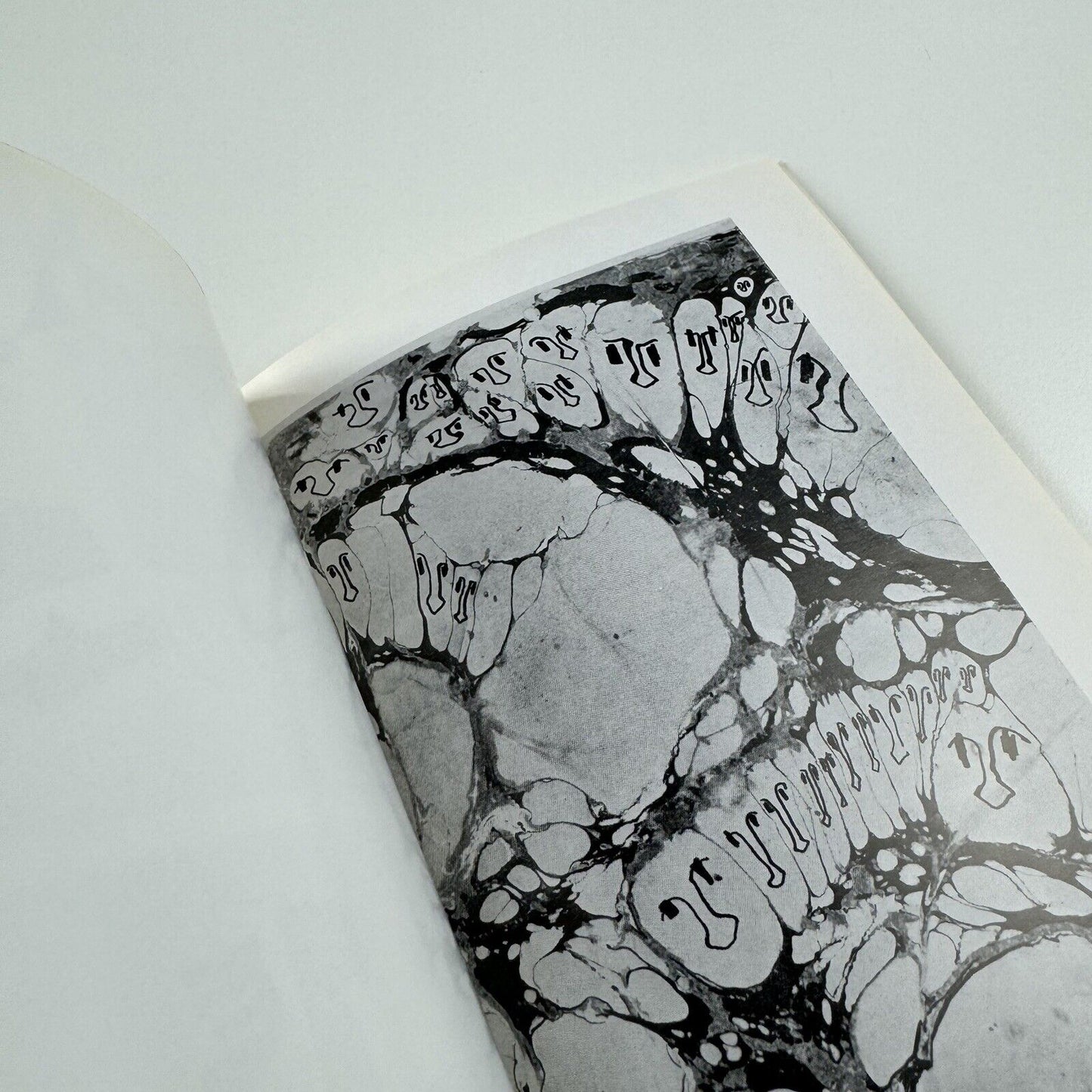 Otto Wächter. Zeichnungen, Gouachen | Catalogue booklet, c.1976?