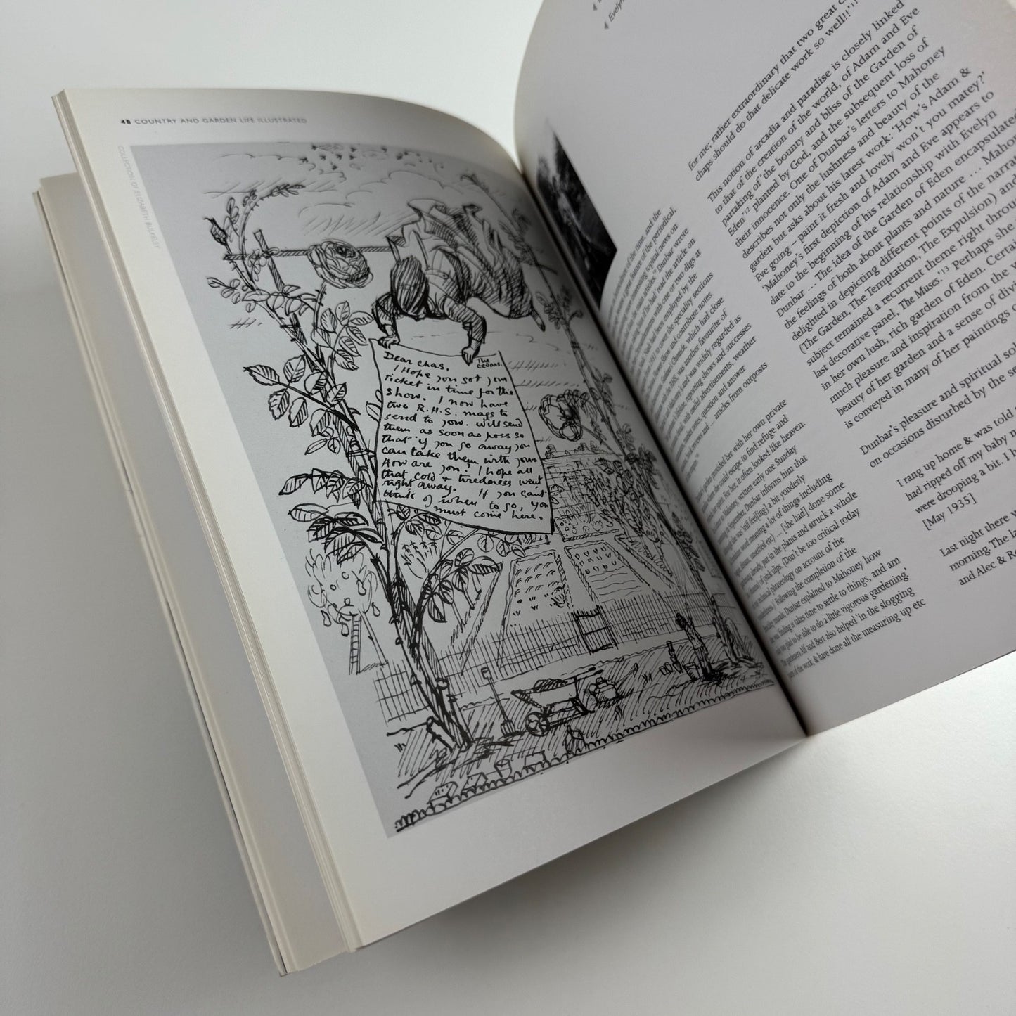 Evelyn Dunbar. War and Country by Gill Clarke | Sansom & Company, 2006