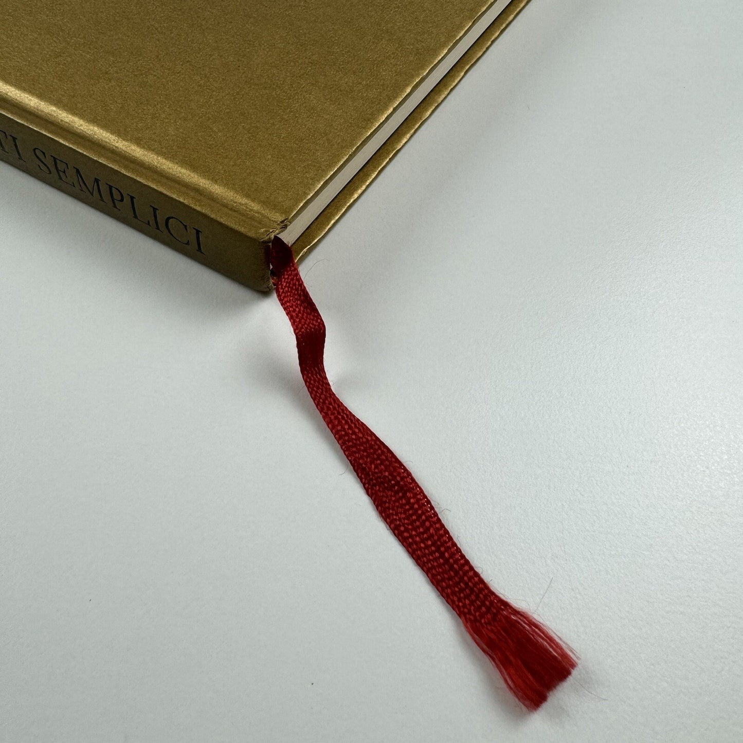 Mimmo Paladino. Dipinti Semplici | Waddington Galleries 1997 catalogue