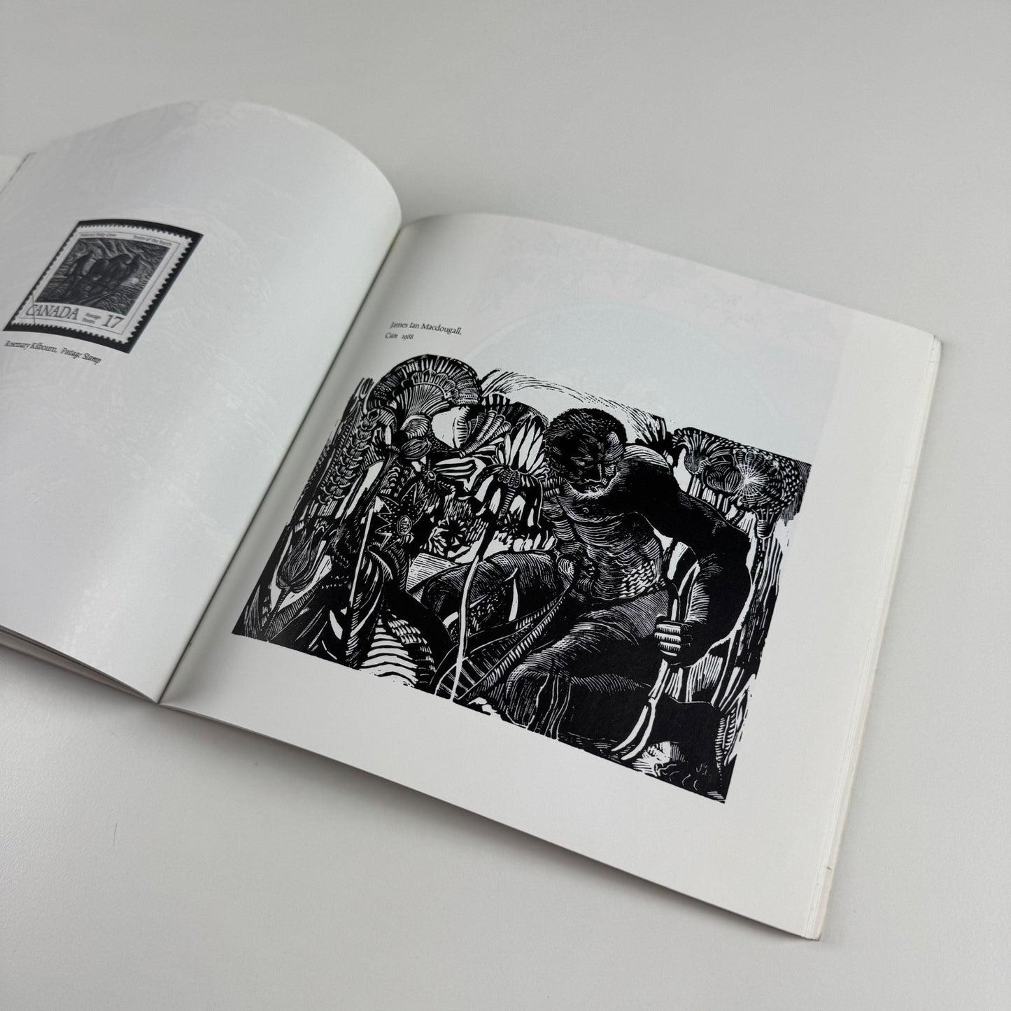 The White Line. Wood Engraving in Canada since 1945 by G. Brender à Brandis and Danuta Kamocki | The Porcupine's Quill 1990 | Includes the printed supplement Wood-Engraving - an Outline of the Method of Working