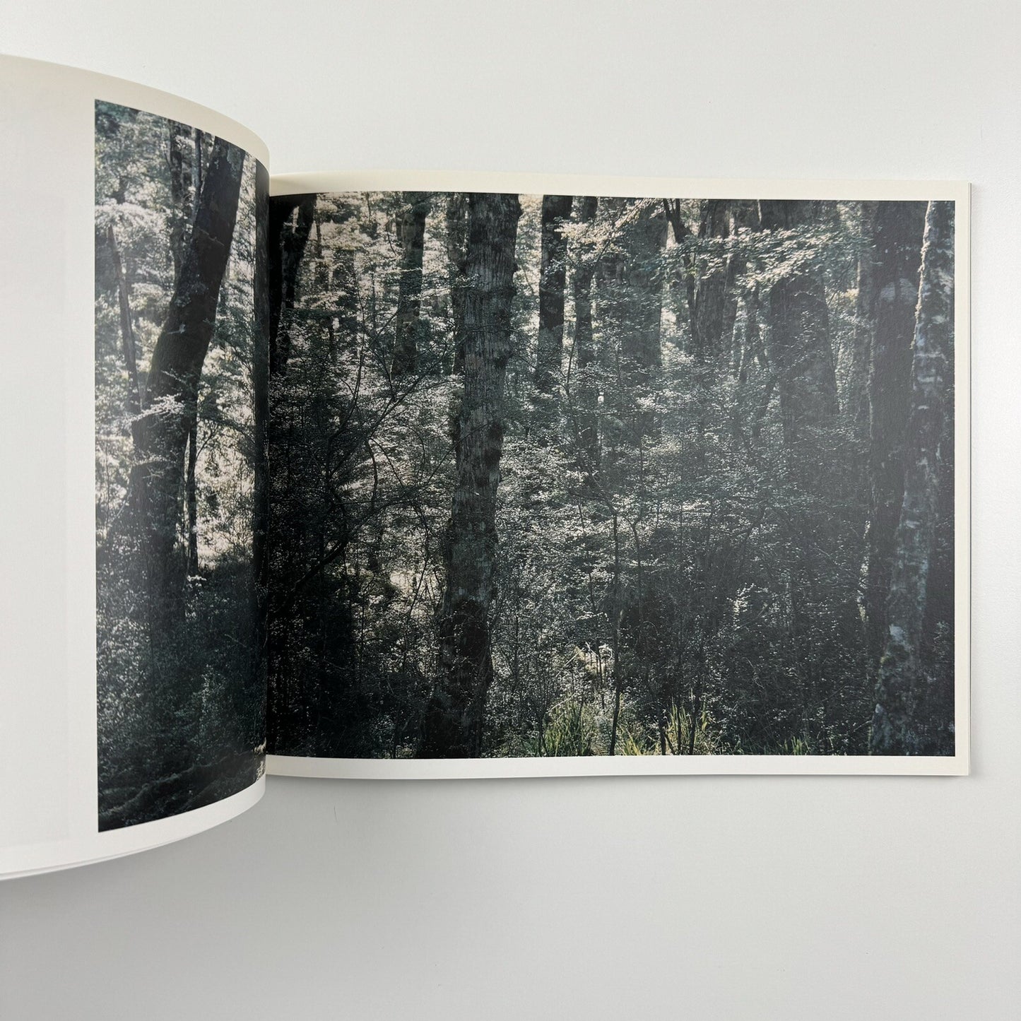 Axel Hütte. Out of Darkness | Waddington Galleries London, 2009 catalogue