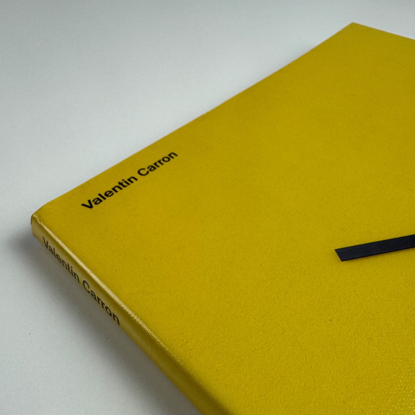 Valentin Carron | Galerie Eva Presenhuber, JRP Ringier, 2011