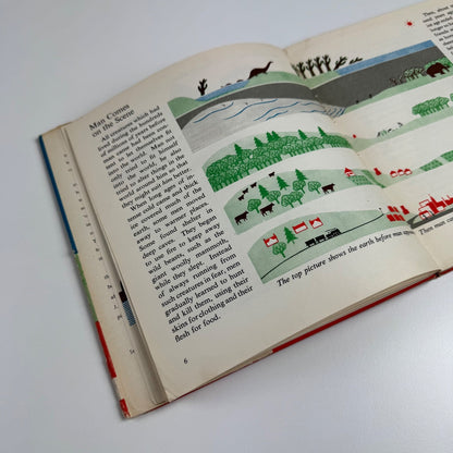 How the First Men Lived by Marie Neurath and J.A. Lauwerys. Max Parrish, London, 1951 Isotype Institute