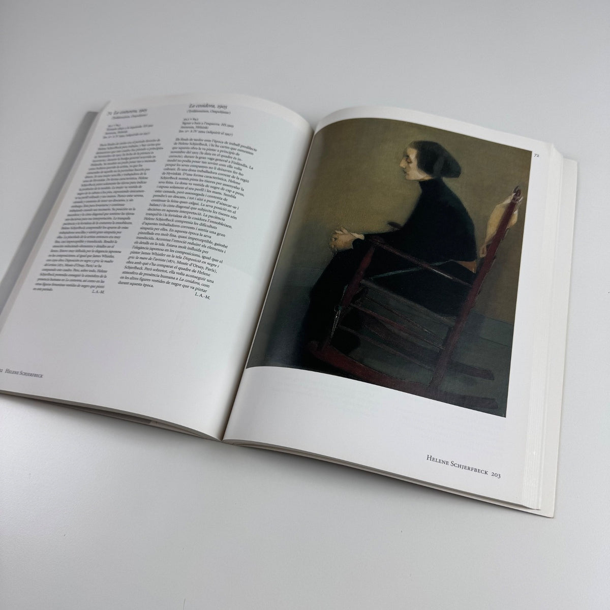 The Light of the North | Museo Nacional Centro de Arte, Madrid, 1995
