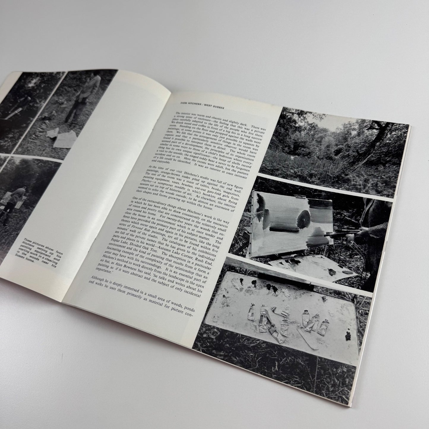 Background | The artist and his environment -  Alan Davie, Merlyn Evans, Ivon Hitchens and Victor Pasmore | Welsh Arts Council, 1965