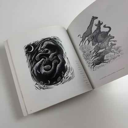 Andrew Davidson. Pages to View | undated catalogue