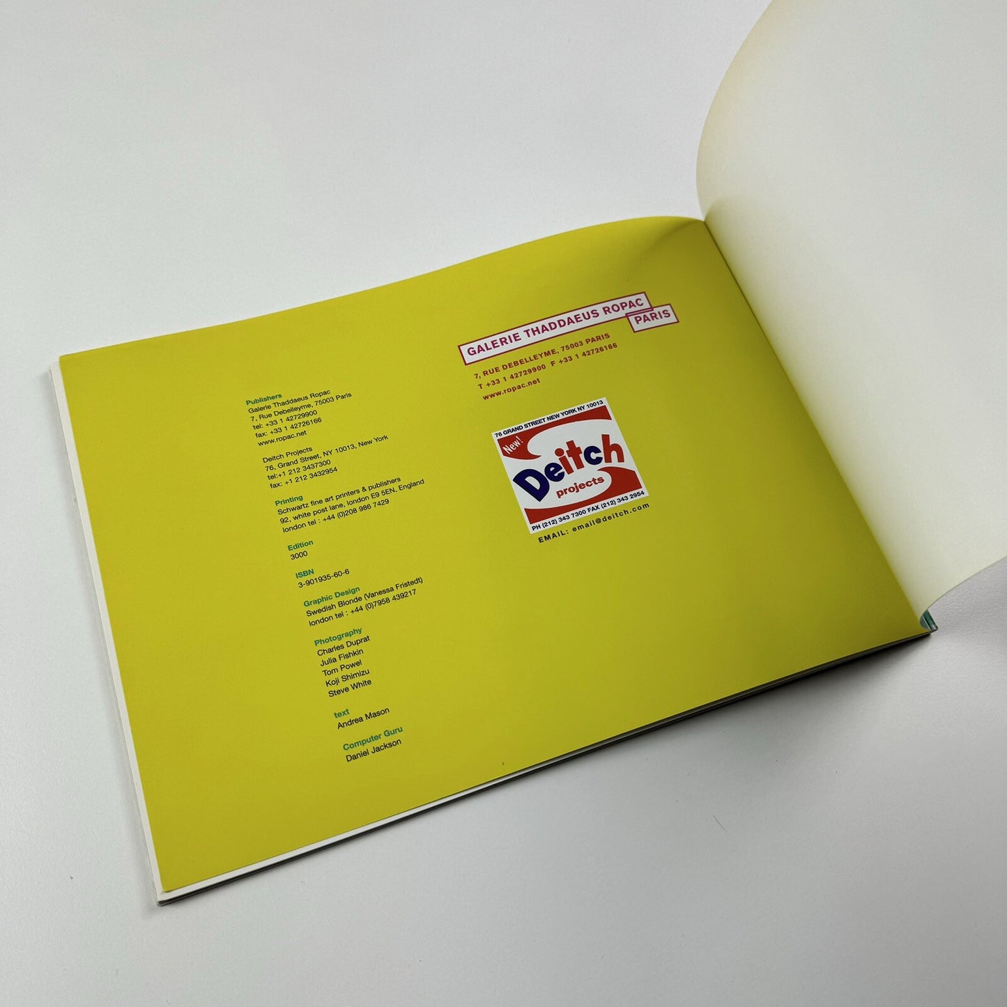 Philippe Bradshaw. Deitch Projects N.Y.| Galerie Thaddaeus Ropac, Paris, 2001