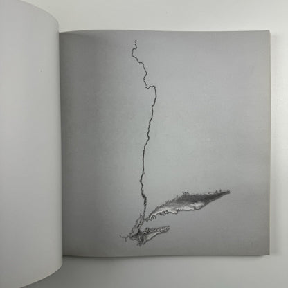 Maya Lin – Here and There | Pace Gallery, New York and London, 2013 catalogue
