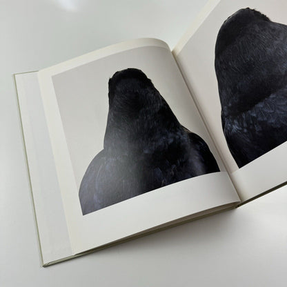 Bird. Roni Horn catalogue | Steidl Hauser & Wirth, London 2008