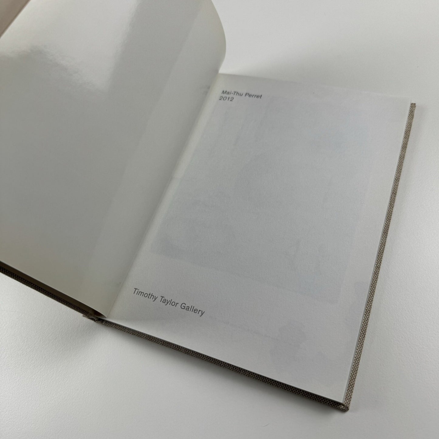 Mai-Thu Perret: 2012 | Timothy Taylor Gallery, London 2008 catalogue