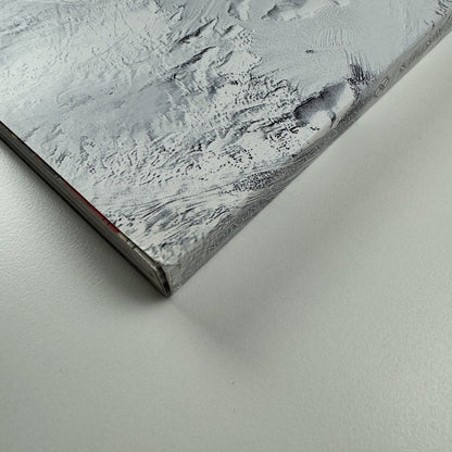 The 11th Hour. Leonardo di Caprio Foundation | Christie's New York catalogue, 13 May 2013