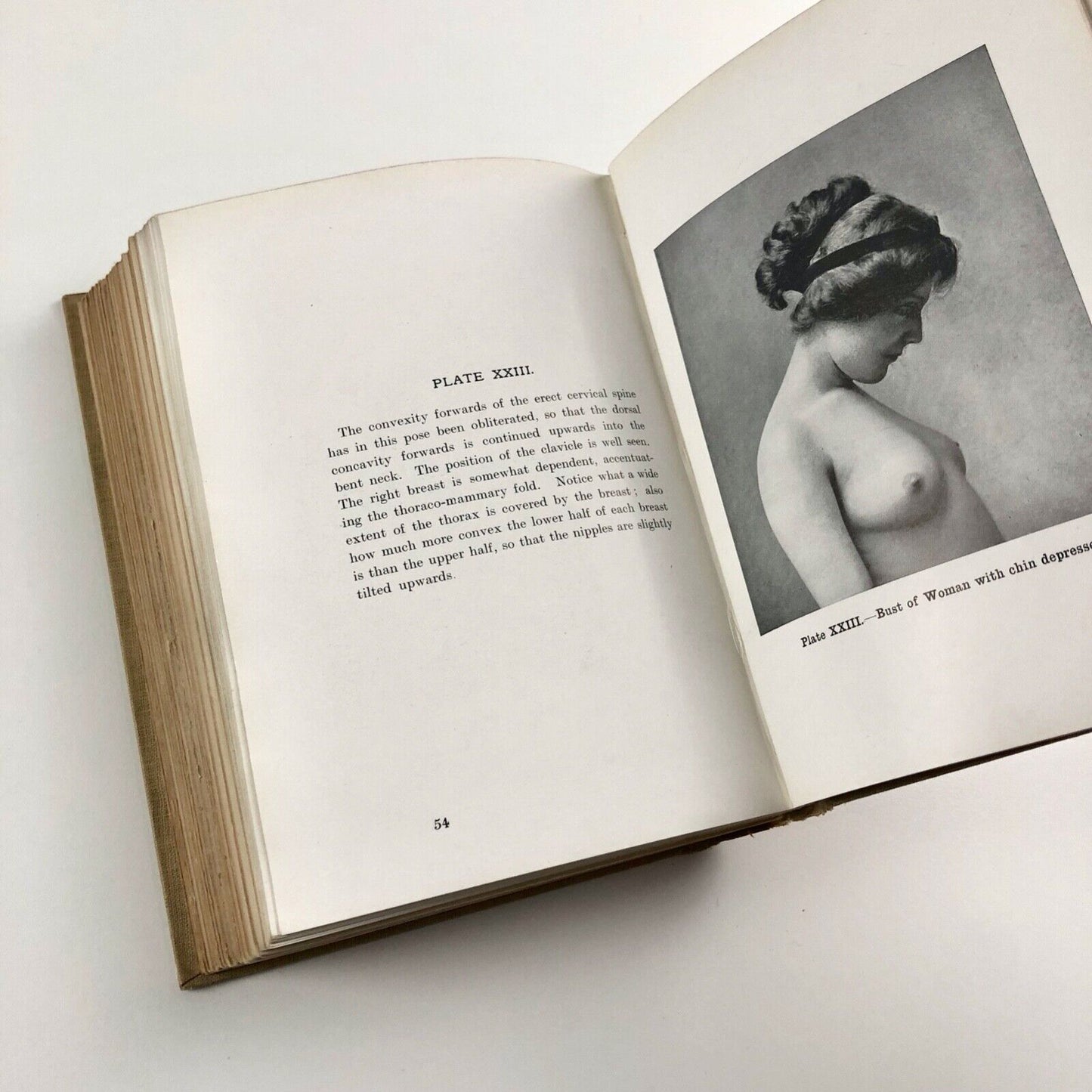 Human Anatomy for Art Students by Sir Alfred Fripp and Ralph Thompson 1911