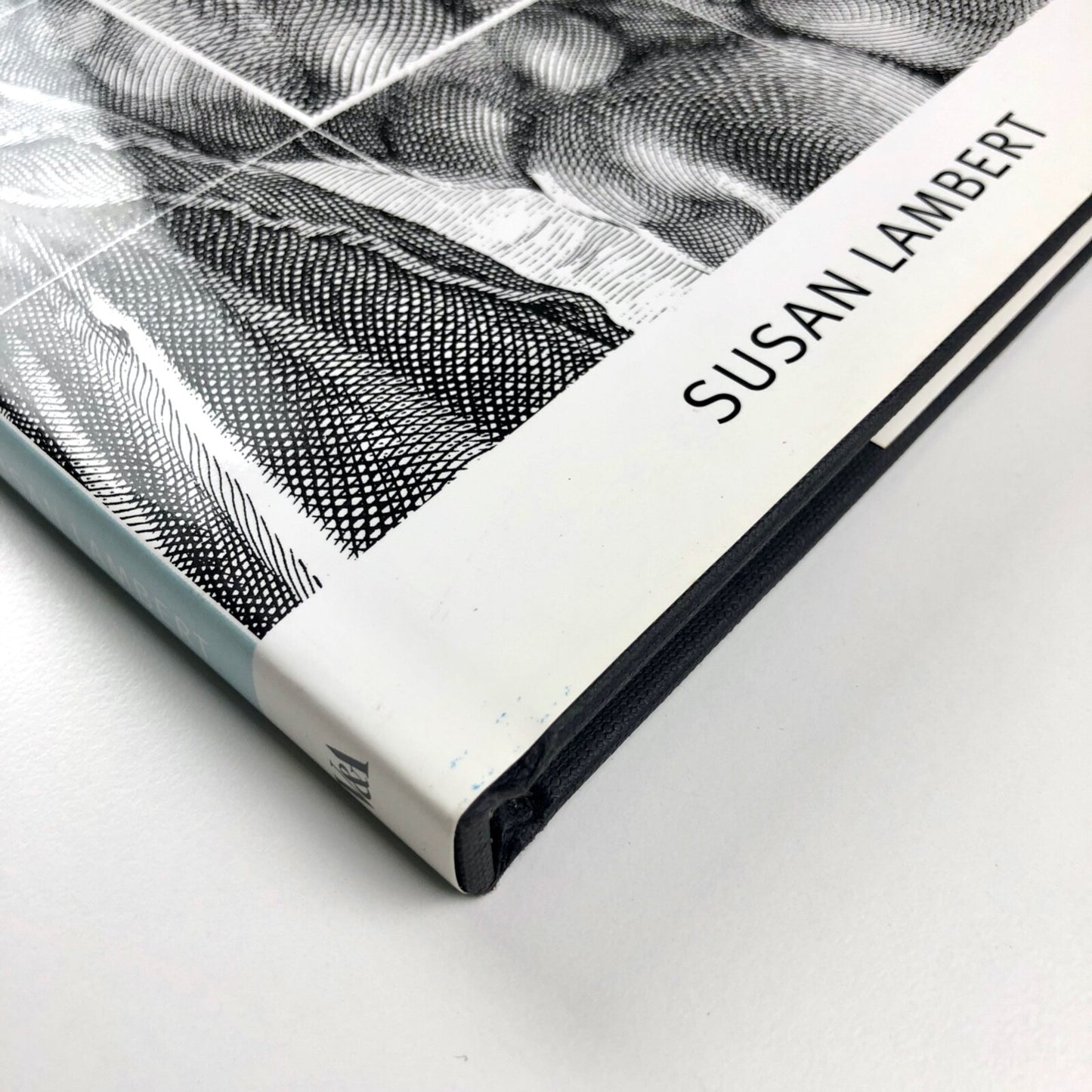 Prints: Art and Techniques by Susan Lambert | V&A Publications 2001
