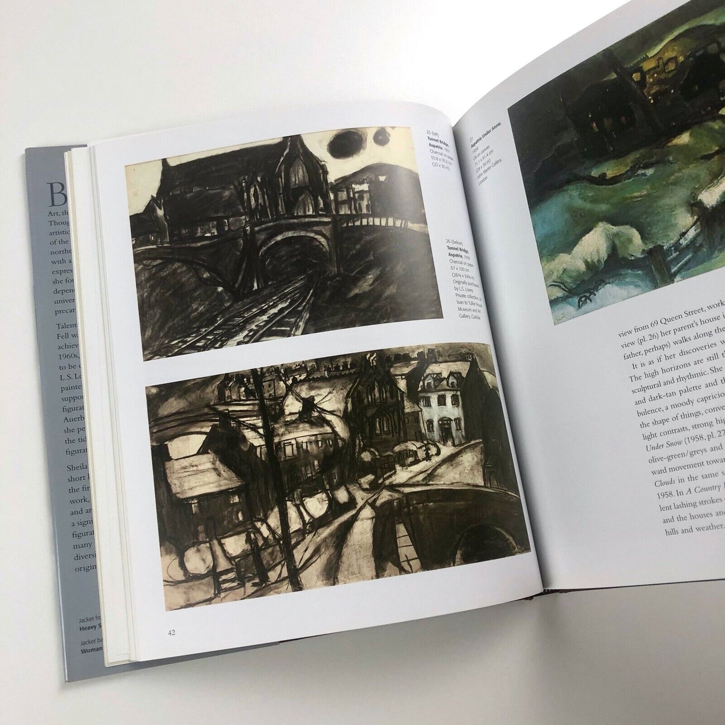 Sheila Fell: A Passion For Paint, by Cate Haste | Lund Humphries, 2010