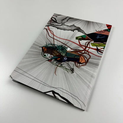 Franz Ackermann no roof but the sky | Neugerriemschneider, 2010 catalogue