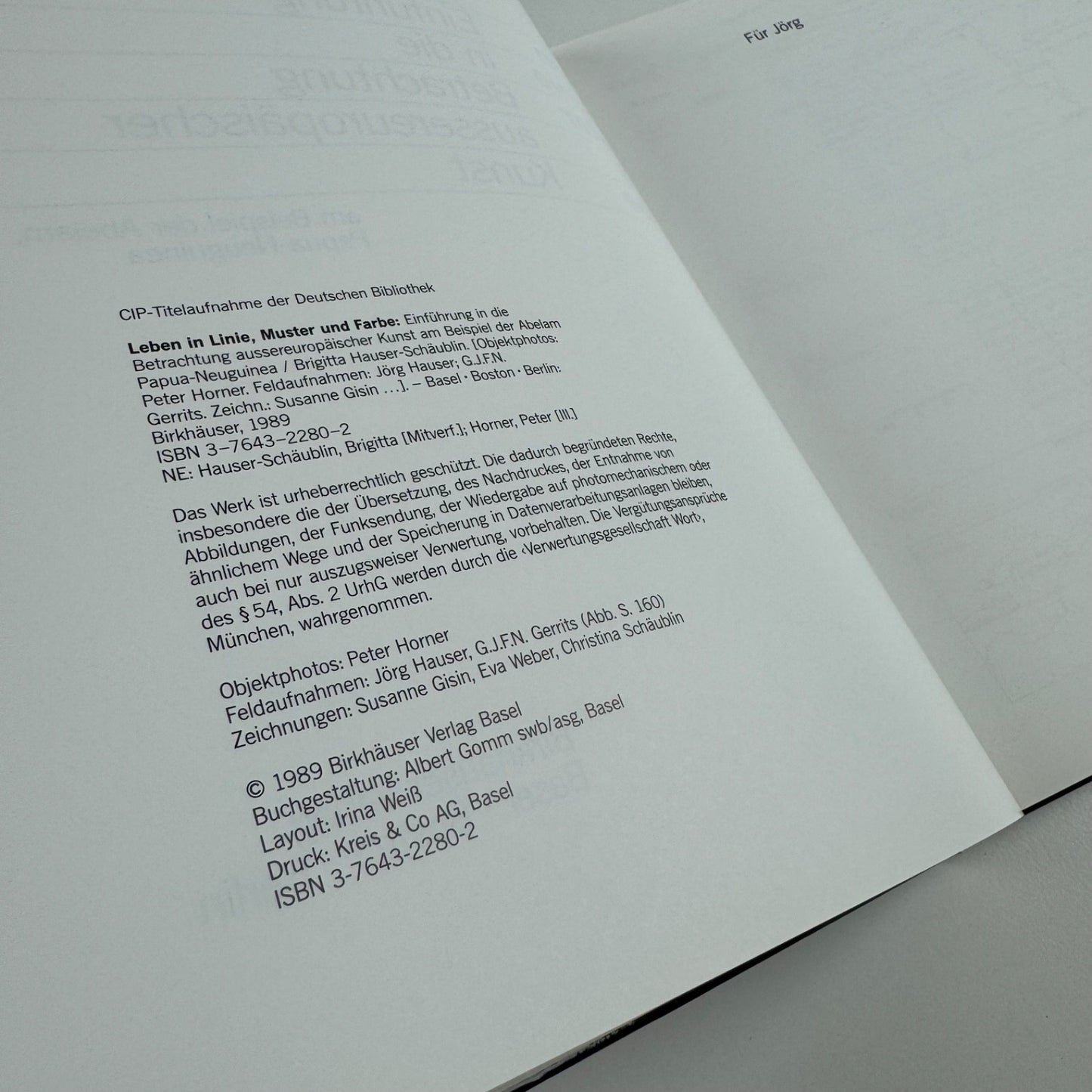 Leben in Linie Muster und Farbe by Brigitta Hauser-Schäblin | Birkhäuser 1989