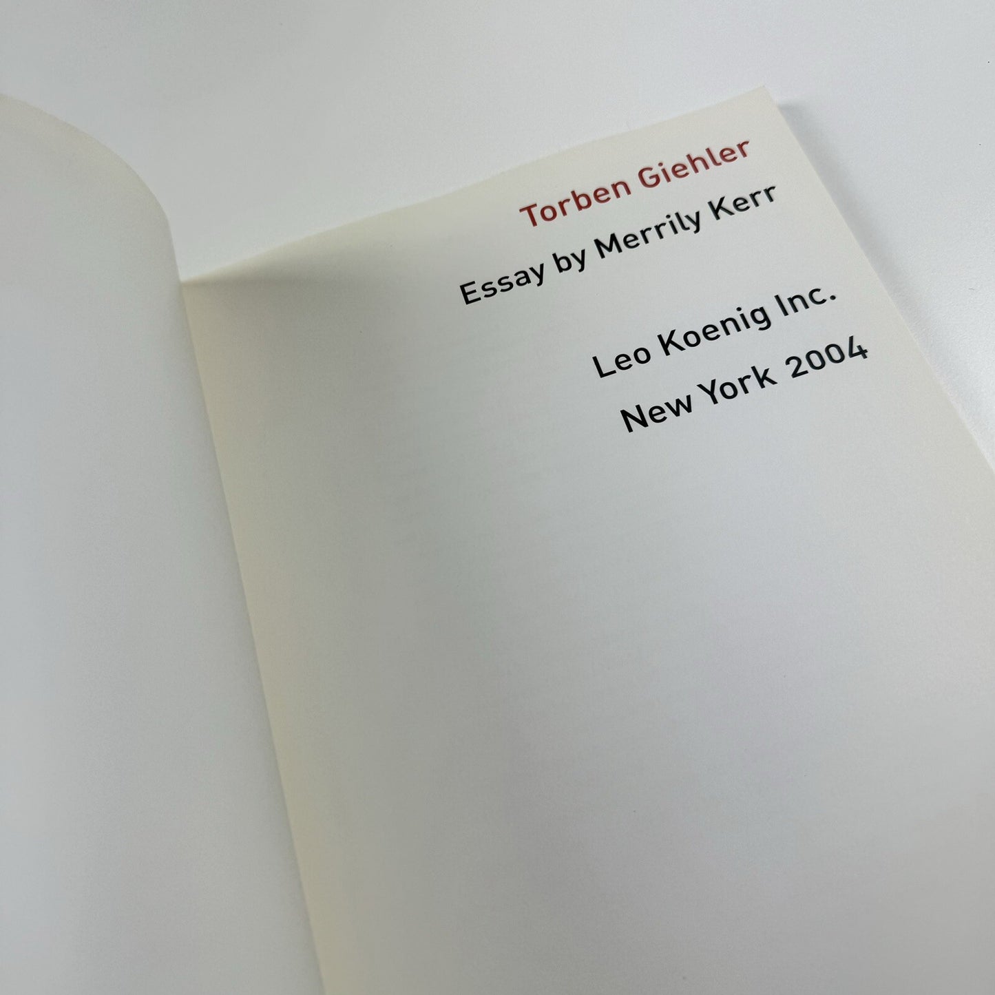 Torben Giehler. Essay by Merrily Kerr | Leon Koenig, New York, 2004