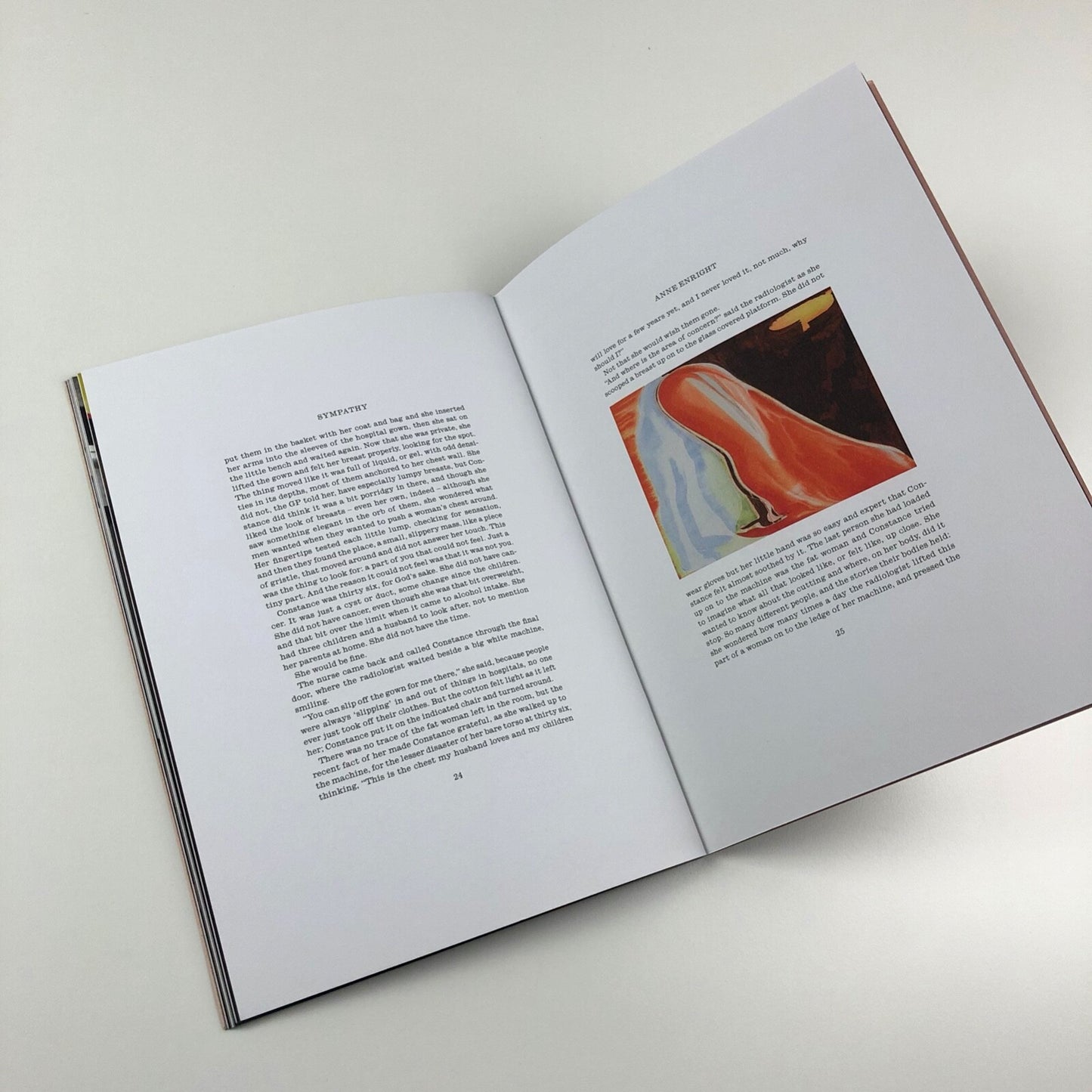 Dependent Rational Animals Roxy Walsh and Sally Underwood | Towner Gallery catalogue, 2013