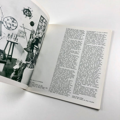 Libero Badii y el espacio 56 | Centro Des Artes Visuales Del Instituto Torcuato | 1968 catalogue