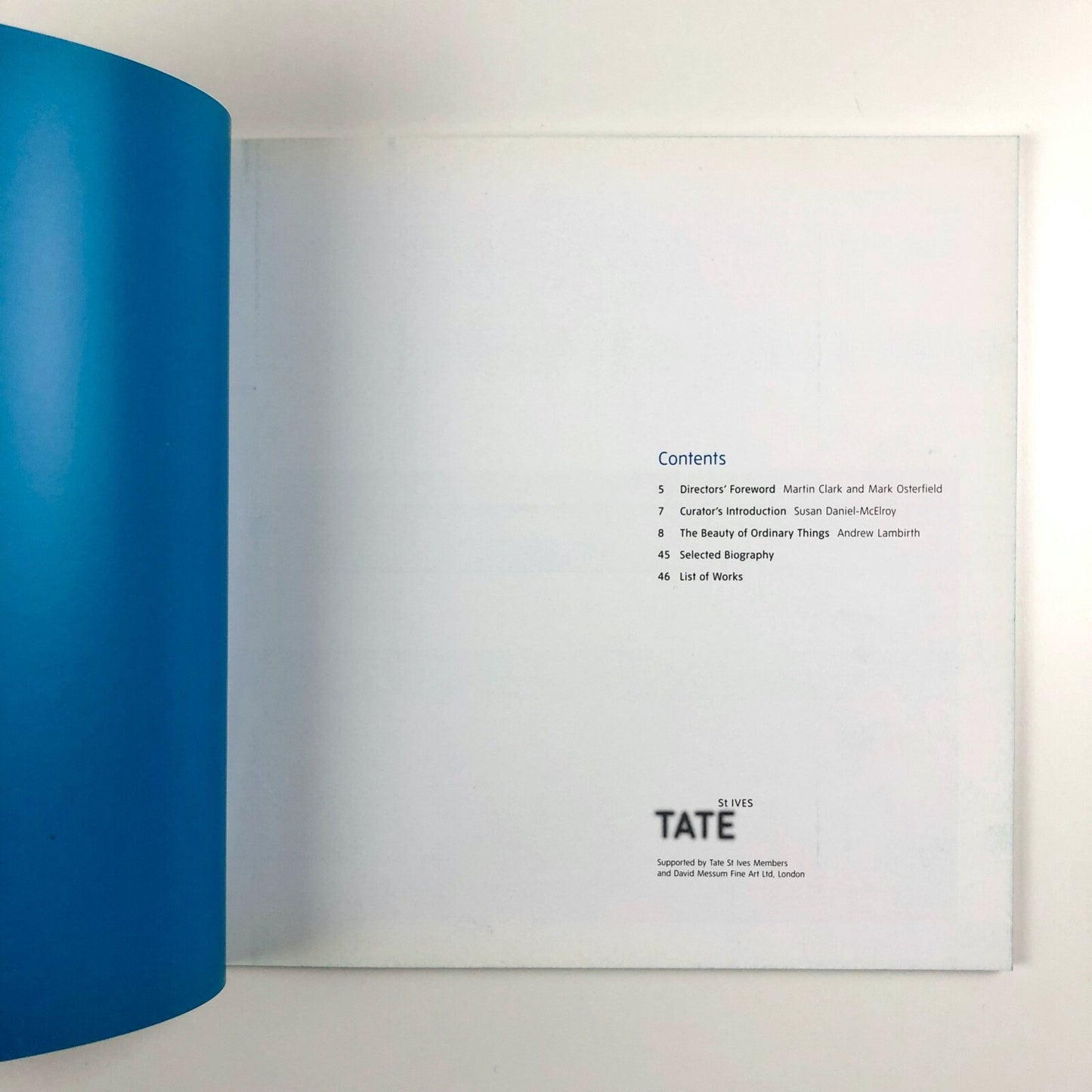 Rose Hilton – The Beauty of Ordinary Things | Tate catalogue, 2008