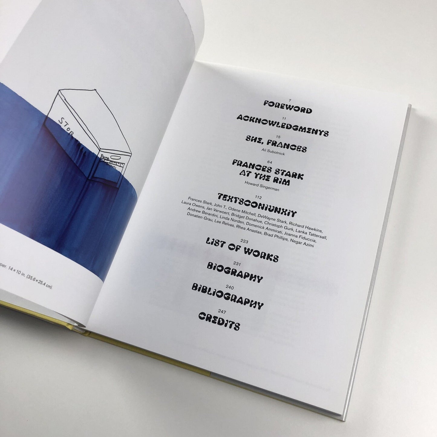 UH-OH Frances Stark 1991-2015 | Hammer Museum Prestel catalogue, 2015