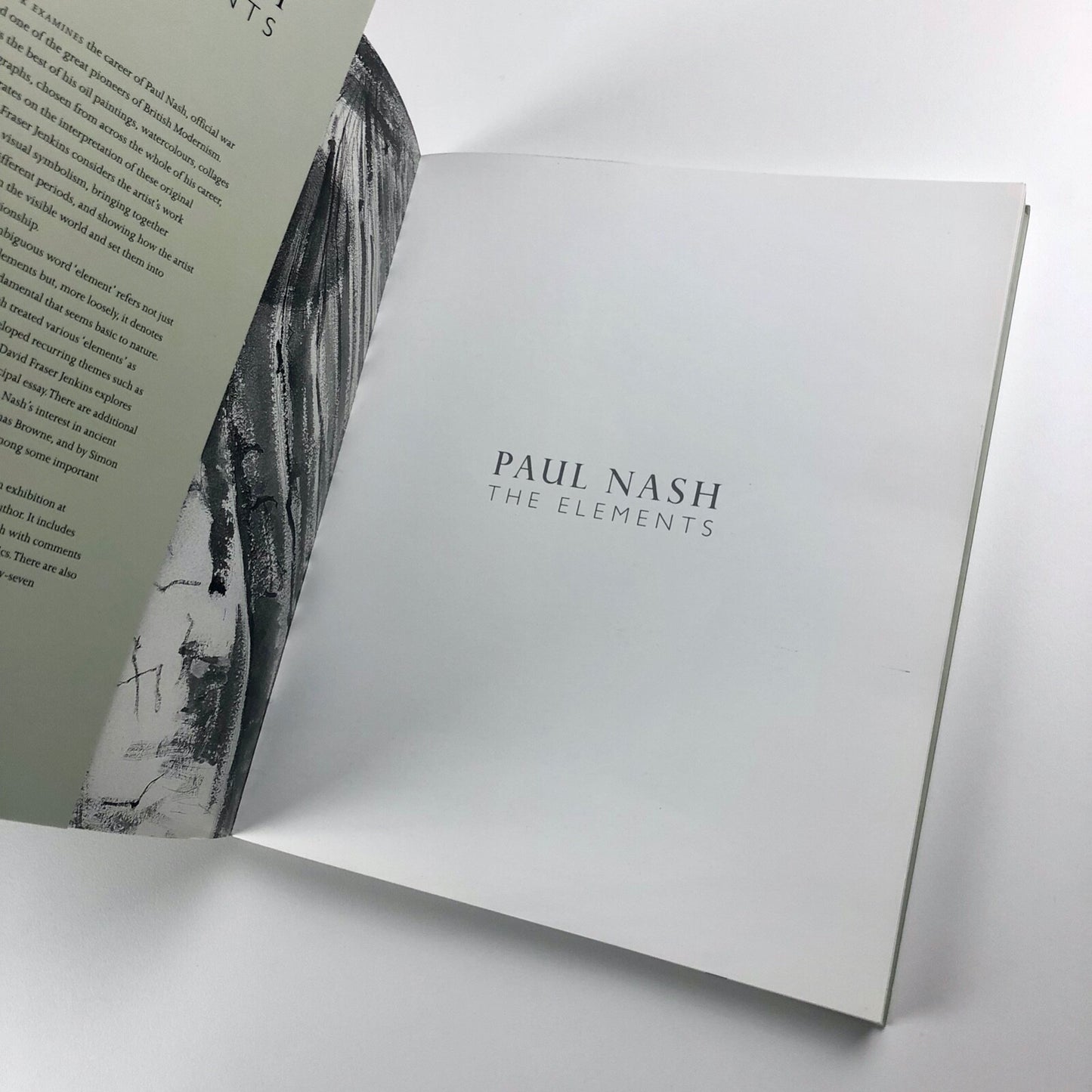 Paul Nash – The Elements | David Fraser Jenkins | Dulwich Picture Gallery, 2010