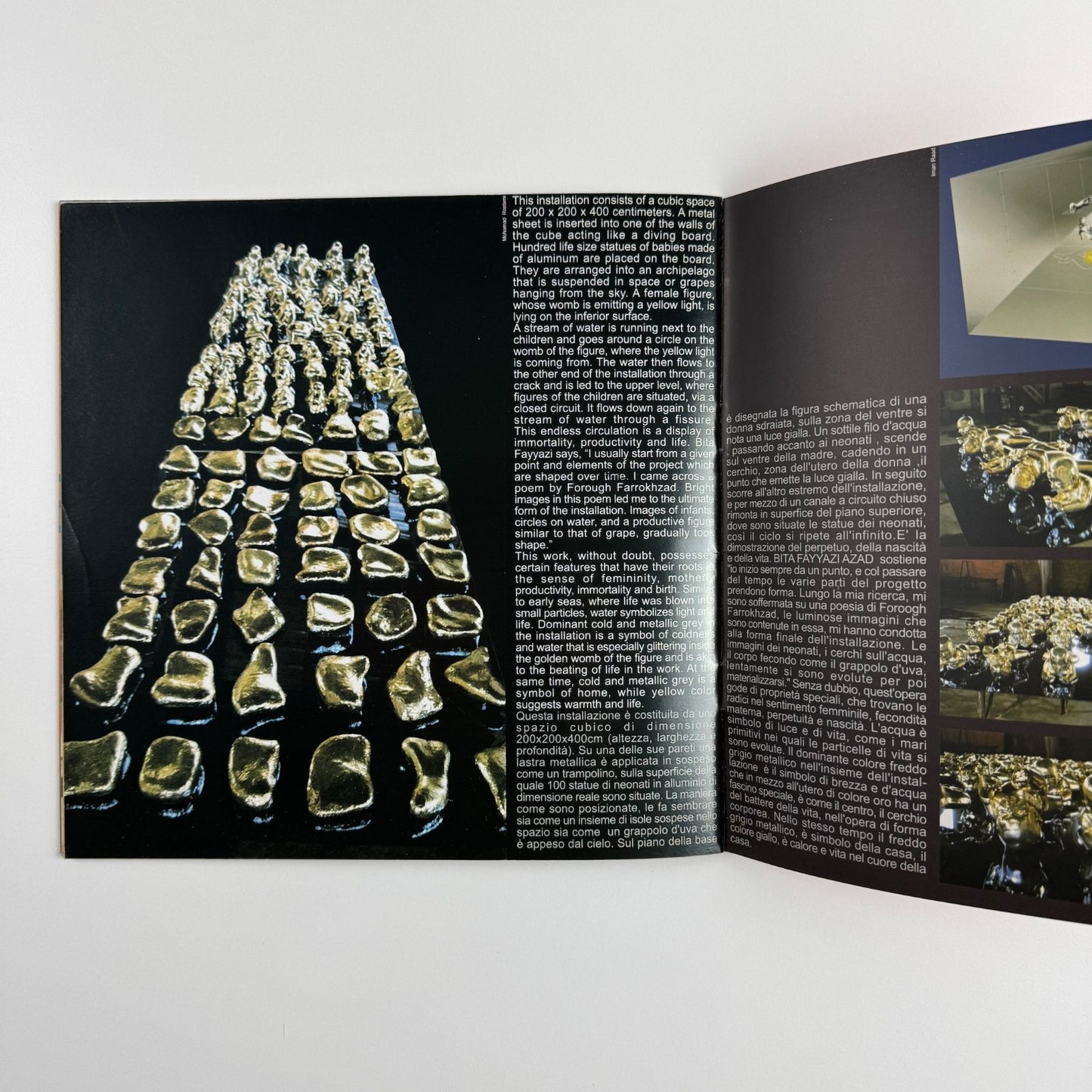 51st International Venice Biennale Iranian Institute for Promotion of Visual Art