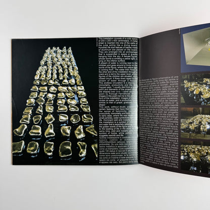 51st International Venice Biennale Iranian Institute for Promotion of Visual Art