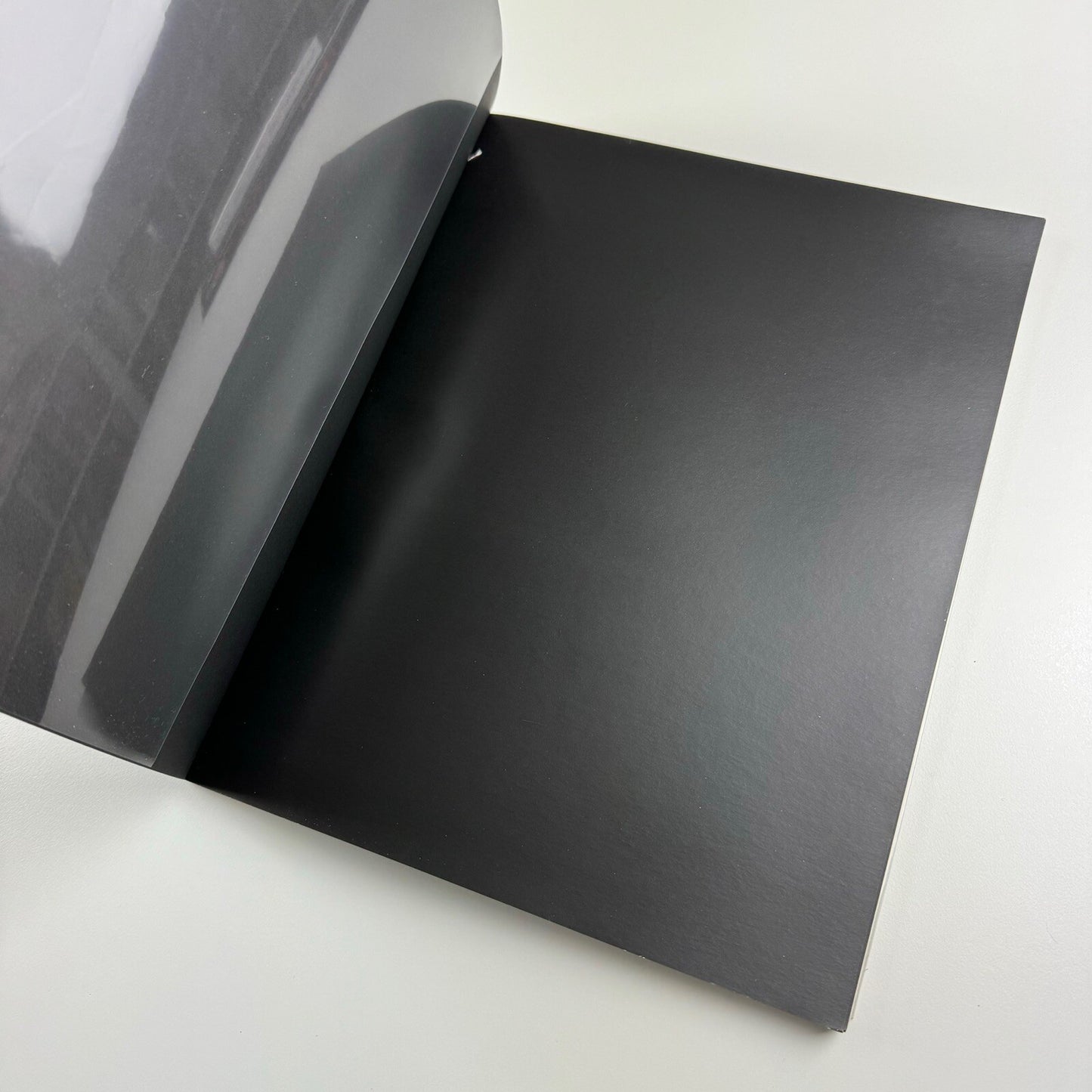 Voom Portraits. Robert Wilson | Phillips de Pury, Paula Cooper Gallery, 2007 catalogue