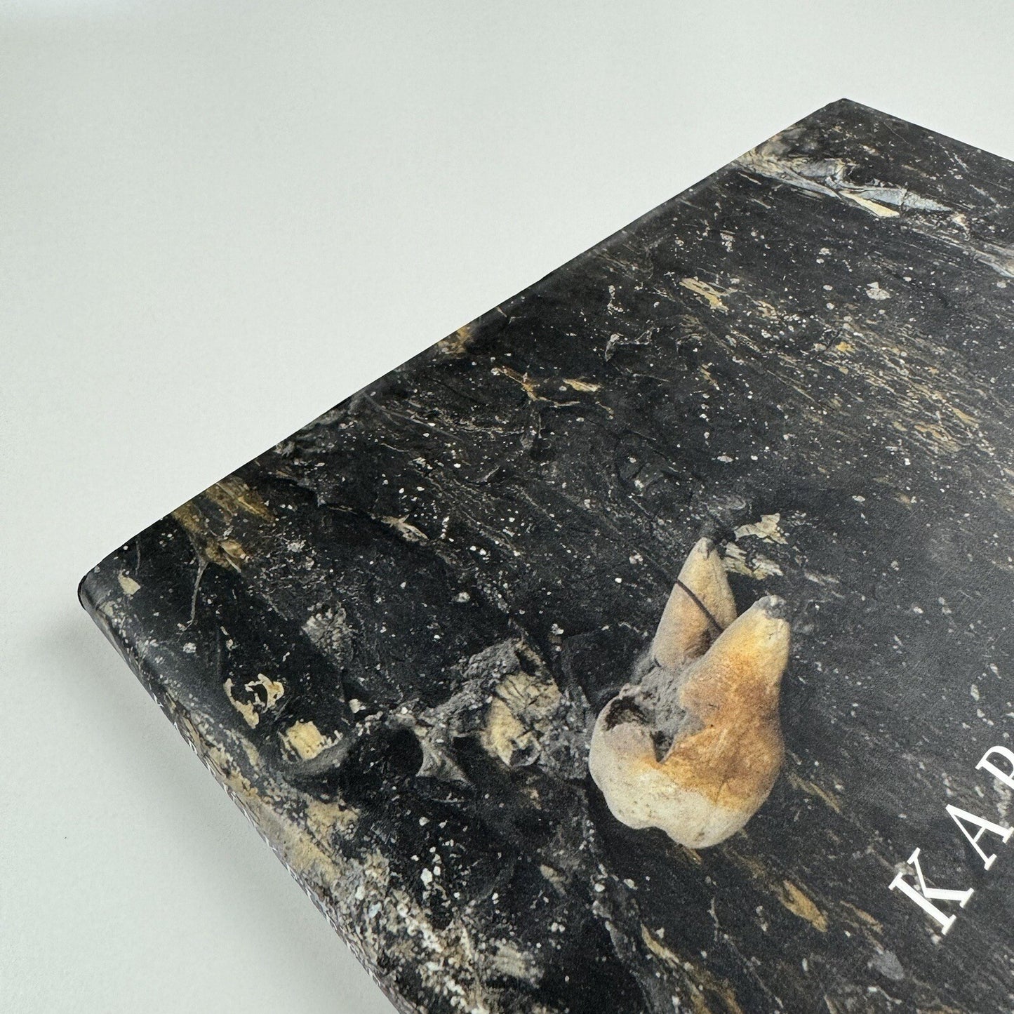 Karfunkelfee. Anselm Kiefer. The Fertile Crescent | White Cube 2009