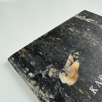 Karfunkelfee. Anselm Kiefer. The Fertile Crescent | White Cube 2009
