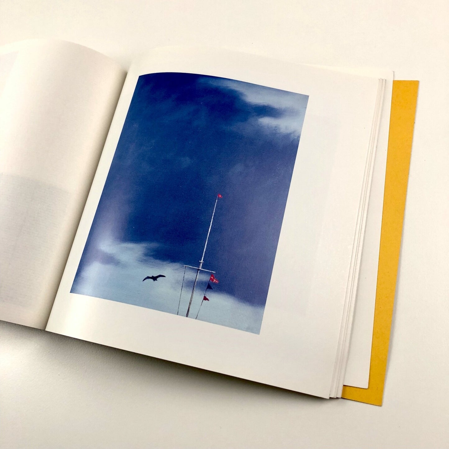 Philip Hicks. New Paintings| Messum's exhibition catalogue, December 2005