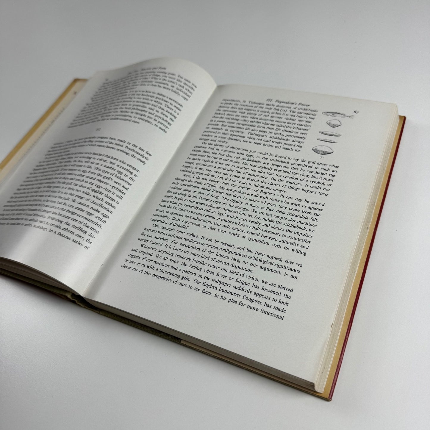 Art and Illusion by E.H. Gombrich | Phaidon Press, new edition reset 1962