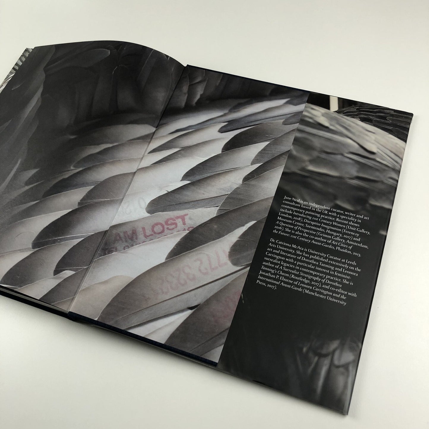 Kate MccGwire | Edited by Mark Sanders | Anomie Publishing, 2021