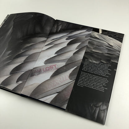 Kate MccGwire | Edited by Mark Sanders | Anomie Publishing, 2021