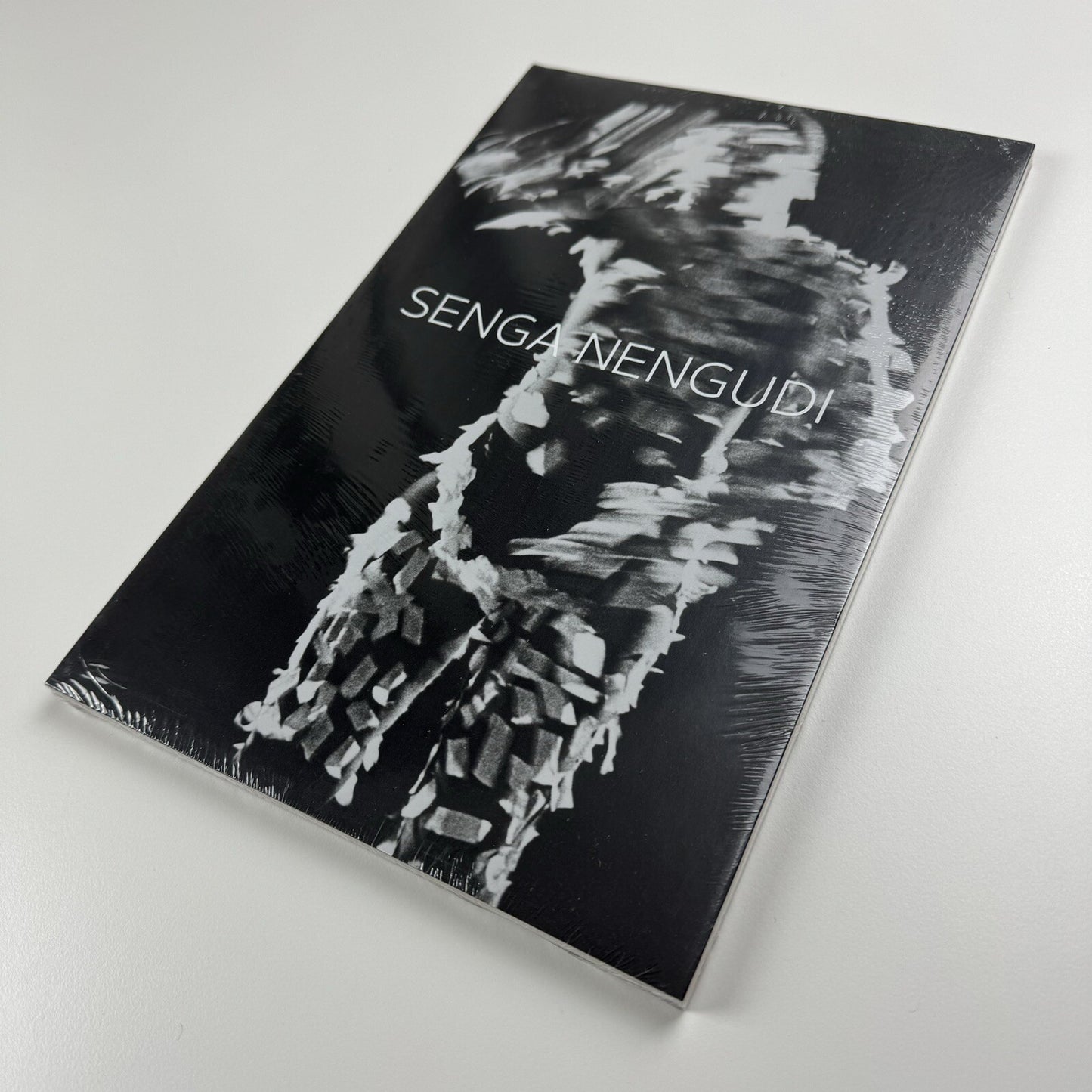 Senga Nengudi. The Back Room | Bradley Rizcana et al Dominque Lévy, 2016 catalogue