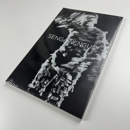 Senga Nengudi. The Back Room | Bradley Rizcana et al Dominque Lévy, 2016 catalogue