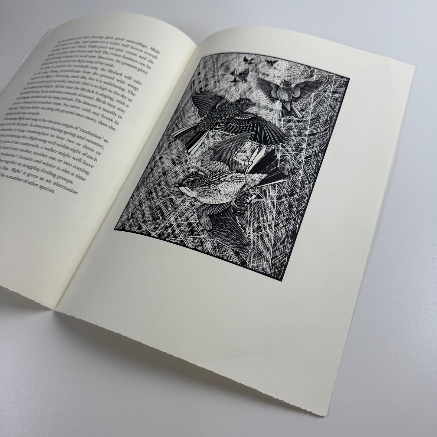 Prospectus for Exaltation of Larks | Of a Feather by Colin See-Paynton | Gregynog Press, 2008