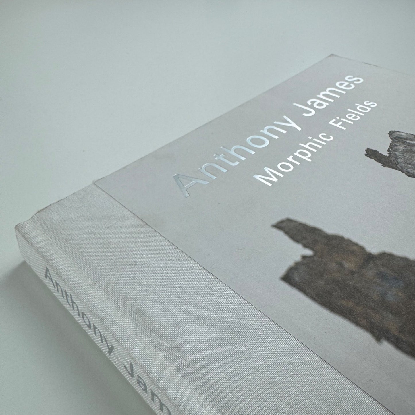 Anthony James. Morphic Fields - Skulpturen | Hatje Cantz, 2014