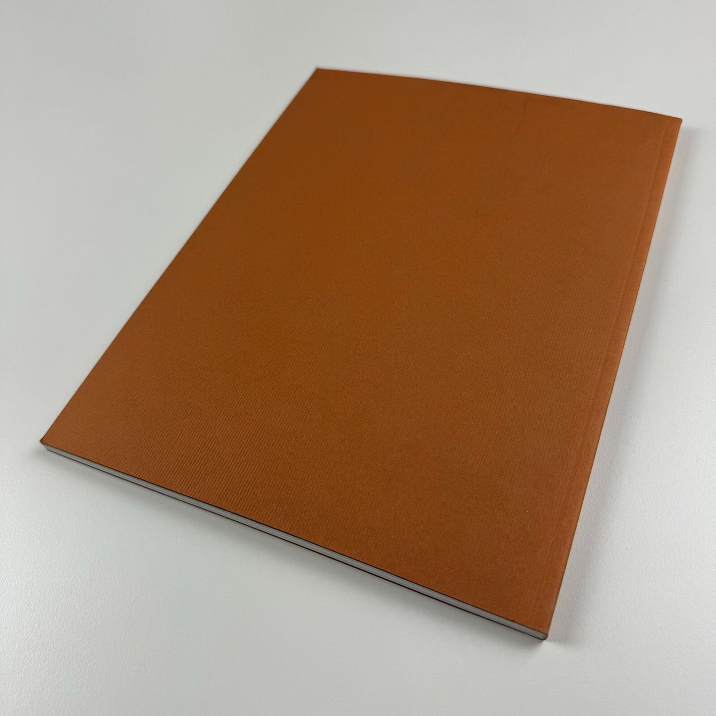 Nathalia Edenmont. Still Born | Wetterling Gallery, 2008 exhibition catalogue